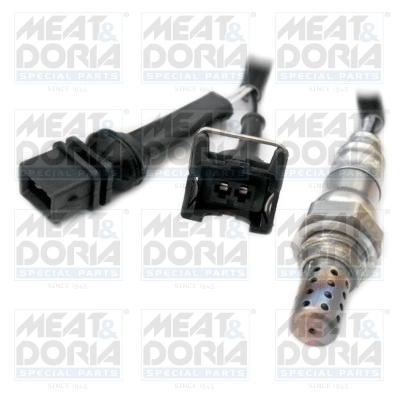 Oxygen Sensor